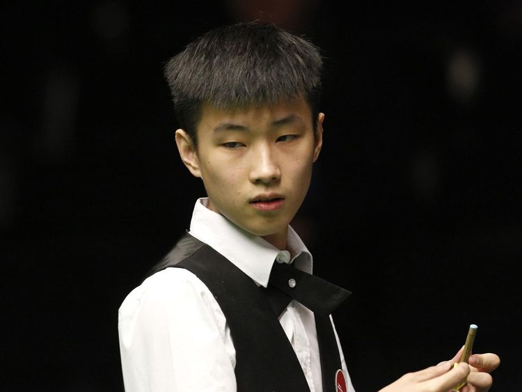 森林赚得了 森林赚得了