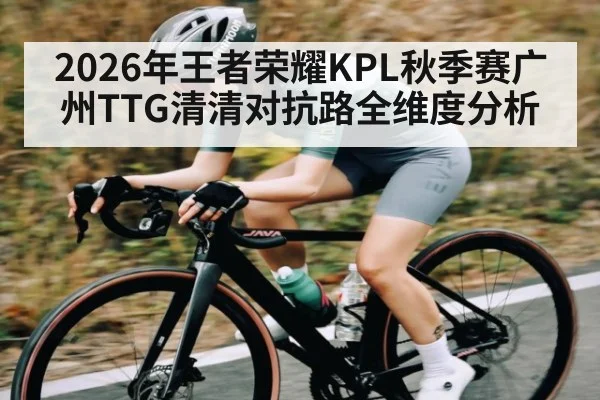 2026年王者荣耀KPL秋季赛广州TTG清清对抗路全维度分析